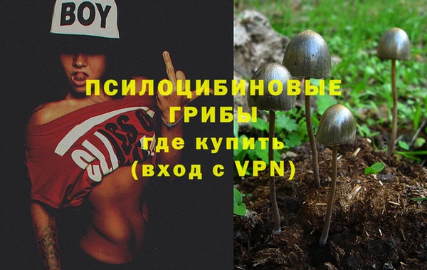 Альфа ПВП Нея