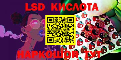 прущие крисы Донской