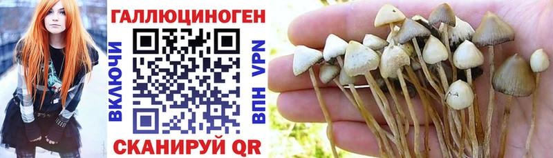 где продают наркотики  Нягань  Псилоцибиновые грибы мицелий 