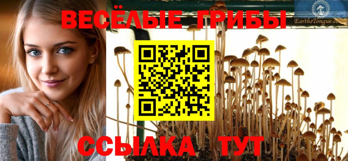 Нягань  Галлюциногенные грибы Psilocybine cubensis  Вход с VPN 